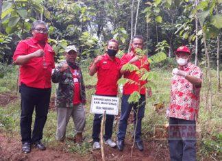 Hijaukan Bumi, DPC PDI Perjuangan Kabupaten Banyumas Gelar Gerakan Menanam Pohon
