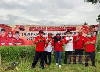 Lestarikan Alam, DPC PDI Perjuangan Kabupaten Tegal Lakukan Gerakan Penanaman Pohon