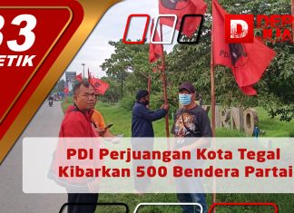 DPC PDI Perjuangan Kota Tegal Kibarkan 500 Bendera Partai