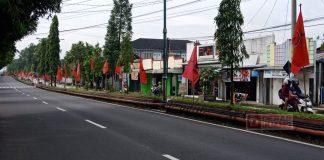 2.000 Bendera Partai Berkibar di Sepanjang Jalan Utama Hingga Pelosok Desa