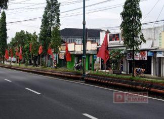 2.000 Bendera Partai Berkibar di Sepanjang Jalan Utama Hingga Pelosok Desa