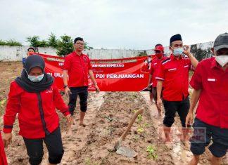 PDI Perjuangan Rembang Lakukan Penghijauan Bumi Pertiwi