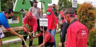 Rellya: Banyak Manfaat Dari Menanam Pohon