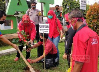 Rellya: Banyak Manfaat Dari Menanam Pohon