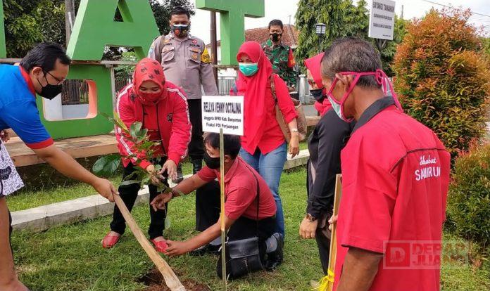 Rellya Banyak Manfaat Dari Menanam Pohon