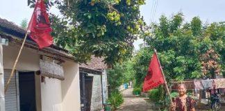 Sambut HUT ke 48, Kader PDI Perjuangan Kudus Kibarkan Bendera Moncong Putih