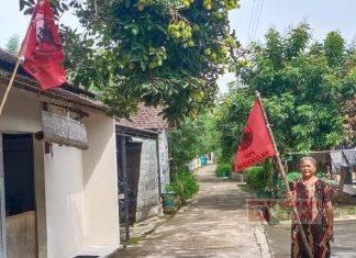 Sambut HUT ke 48, Kader PDI Perjuangan Kudus Kibarkan Bendera Moncong Putih