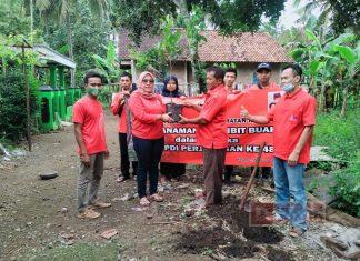 Semarakkan HUT PDI Perjuangan ke-48, PAC PDI Perjuangan Kecamatan Kebasen Gelar Tanam Pohon Serentak