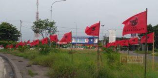 Semarakkan HUT PDI Perjuangan ke-48, PDI Perjuangan Pemalang Kibarkan 3000 Bendera dan Pasang 50 Spanduk