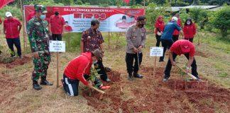 Tanam Pohon Serentak, Kado HUT Ibu Megawati Soekarnoputri