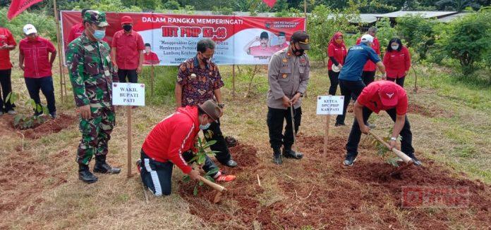 Tanam Pohon Serentak, Kado HUT Ibu Megawati Soekarnoputri