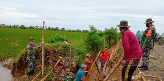 Tanggul Sawah Jebol, Ketua Fraksi PDI Perjuangan Jepara Gotong Royong Bersama Petani