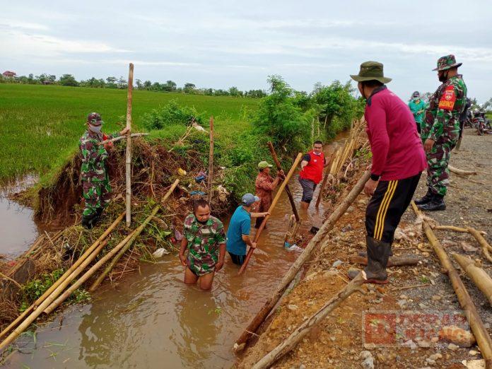 Tanggul Sawah Jebol, Ketua Fraksi PDI Perjuangan Jepara Gotong Royong Bersama Petani