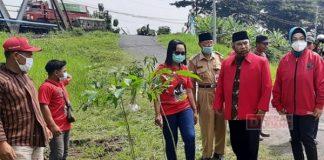 Wardoyo Wijaya Tanam Pohon Bersama Komunitas Juang Sukoharjo