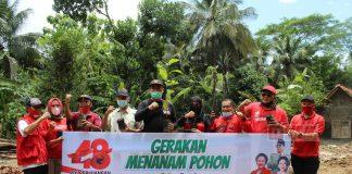 DPC PDI Perjuangan Banjarnegara Lakukan Gerakan Penanaman Pohon