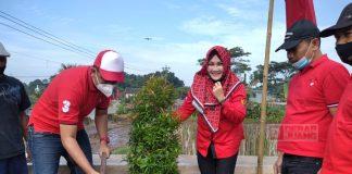 DPC PDI Perjuangan Klaten Tanam 48 Bibit Pohon di Bantaran Sungai Kaliworo