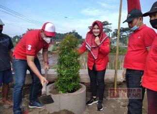 DPC PDI Perjuangan Klaten Tanam 48 Bibit Pohon di Bantaran Sungai Kaliworo