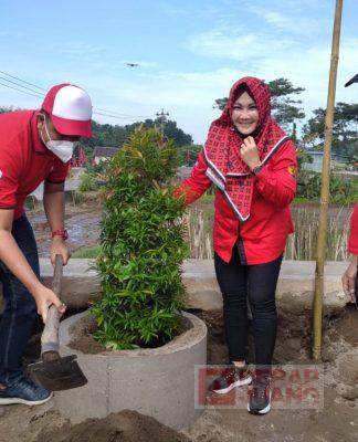 DPC PDI Perjuangan Klaten Tanam 48 Bibit Pohon di Bantaran Sungai Kaliworo
