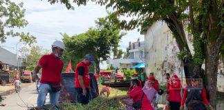 DPC PDI Perjuangan Kudus Laksanakan Gerakan Bersih Sungai dan Tanam Pohon