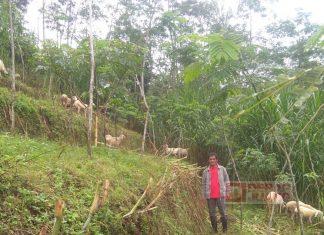 Dalam Masa Pandemi Covid-19, Marno Tingkatkan Perekonomian Masyarakat