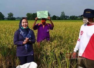 Bupati Purbalingga Intensifkan Program Regenerasi Petani