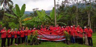 Gerakan Tanam Pohon PDI Perjuangan Wonosobo