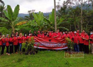 Gerakan Tanam Pohon PDI Perjuangan Wonosobo