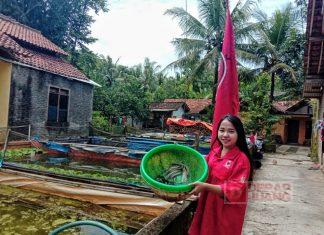 Kader Komunitas Juang Purworejo Kembangkan Bisnis Ikan Lele