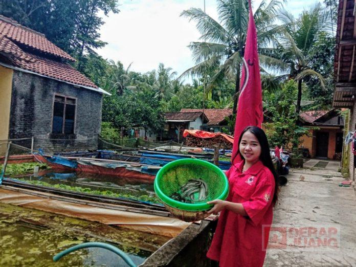 Kader Komunitas Juang Purworejo Kembangkan Bisnis Ikan Lele