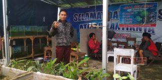 Kader PDI Perjuangan Kalibening Lakukan Budidaya Ikan Konsumsi