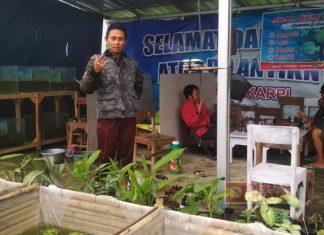 Kader PDI Perjuangan Kalibening Lakukan Budidaya Ikan Konsumsi