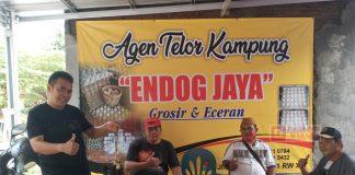 Keberhasilan Kelompok Ternak Ayam Arab Petelur Milik Kader PDI Perjuangan Kota Tegal