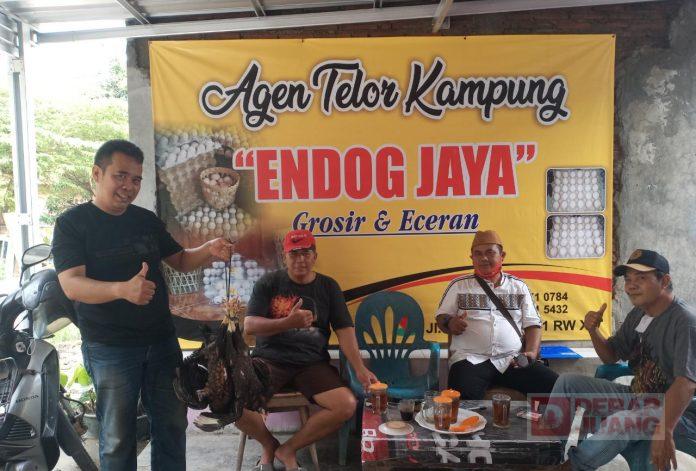 Keberhasilan Kelompok Ternak Ayam Arab Petelur Milik Kader PDI Perjuangan Kota Tegal