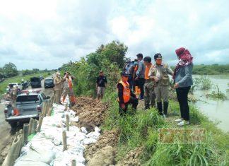 Ketua Komisi C DPRD Demak Tinjau Lokasi Tanggul Jebol