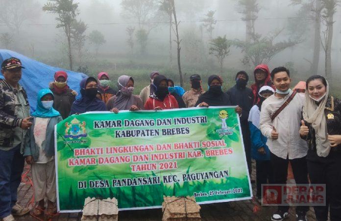 Sinergi Kader PDI Perjuangan Brebes Tanam Pohon Kehidupan di OW Kaligua