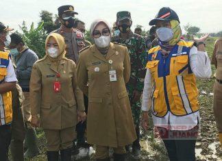 Sri Sumarni Tinjau Langsung Tanggul Jebol di Desa Klampok Godong Grobogan