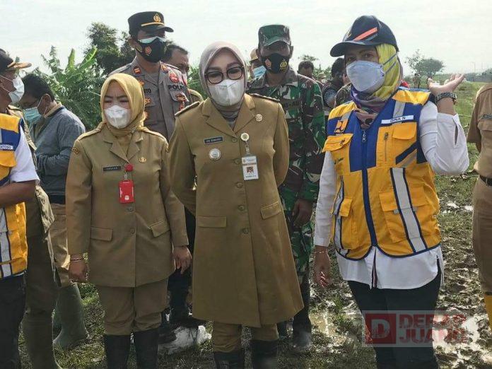 Sri Sumarni Tinjau Langsung Tanggul Jebol di Desa Klampok Godong Grobogan