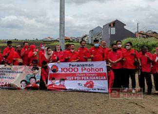 Tanam Pohon Kehidupan DPC PDI Perjuangan Brebes