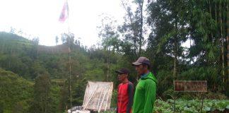 Tingkatkan Ekonomi, Kader PDI Perjuangan Banjarnegara Jalin Kerjasama Pengelolaan Lahan