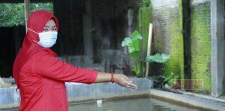 Uswatun Khasanah: Ikan Koi Dari Hobi Jadi Jalan Rezeki