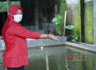 Uswatun Khasanah: Ikan Koi Dari Hobi Jadi Jalan Rezeki