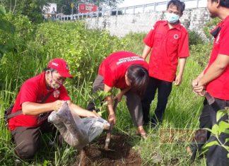 Politik Hijau, DPC PDI Perjuangan Lakukan Bersih Sungai dan Rawat Bibit Pohon