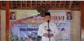 Bupati Kebumen Resmikan Kebun Buah Kelengkeng Milik BUMDes Desa Jerukagung