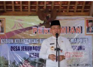 Bupati Kebumen Resmikan Kebun Buah Kelengkeng Milik BUMDes Desa Jerukagung