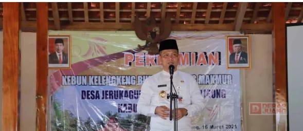 Bupati Kebumen Resmikan Kebun Buah Kelengkeng Milik BUMDes Desa Jerukagung