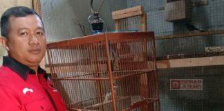 Cerita Singgih, dari Karyawan Ayam Potong Sampai Beternak Burung Murai Batu
