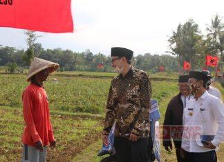 Dion Agasi: Jangan Korbankan Petani Demi Kepentingan Pemburu Rente