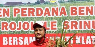 Hamenang Wajar Ismoyo Tolak Rencana Impor Beras
