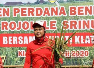 Hamenang Wajar Ismoyo Tolak Rencana Impor Beras