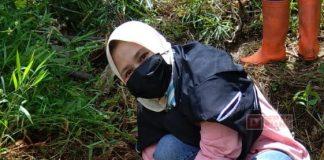 Hj. Nur Bintang Lakukan Penanaman Pohon Aren di Desa Kalijurang